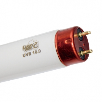 Lucky Herp UVB 10.0 T8 Fluorescent Lamp 14W 15W 18W 25W 30W 36W